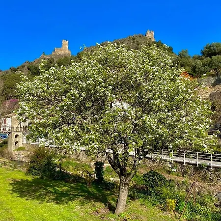 4 Star Cabaret Lastours 4 Chateaux Amazing Cathar Landmark Private Luxury 4 Star Air Conditioned Terrasse With Views Extérieur photo