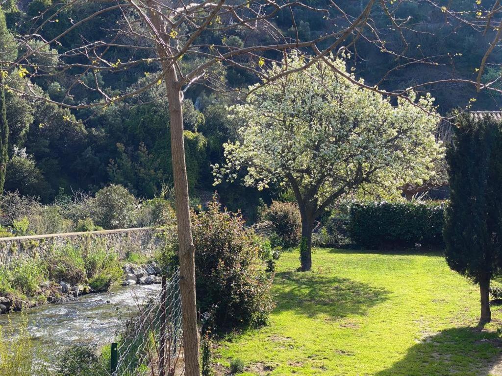 Château Cabaret: Luxury Cathar Retreat With Panoramic Terrace Lastours