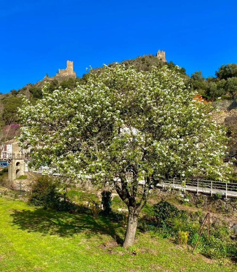 Château Cabaret: Luxury Cathar Retreat With Panoramic Terrace * Lastours
