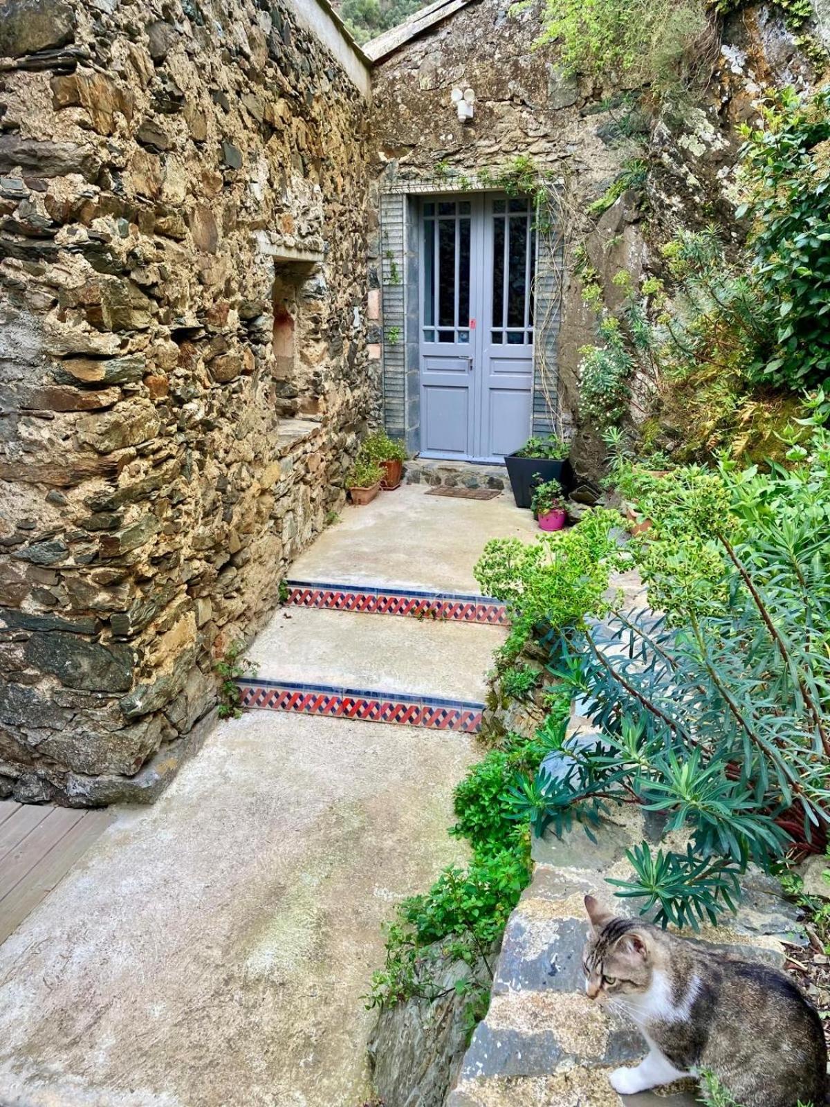 Château Cabaret: Luxury Cathar Retreat With Panoramic Terrace * Lastours